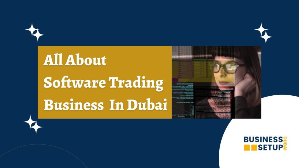 All about Software Trading business in Dubai