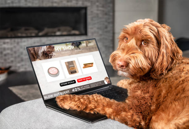 Ecommerce business website